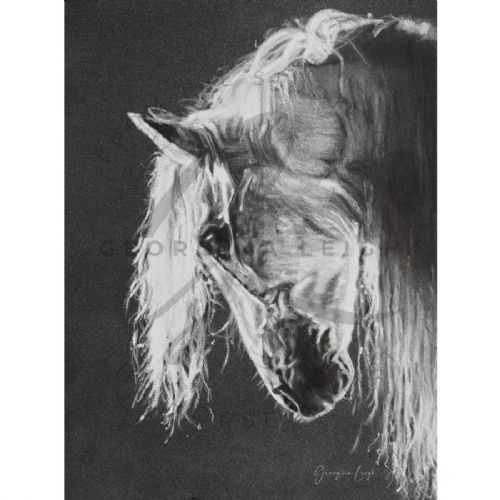 Andalusian PRE Horse Drawing (print) (A4)